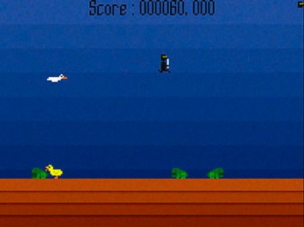 Ninja Duck Ninja Duck